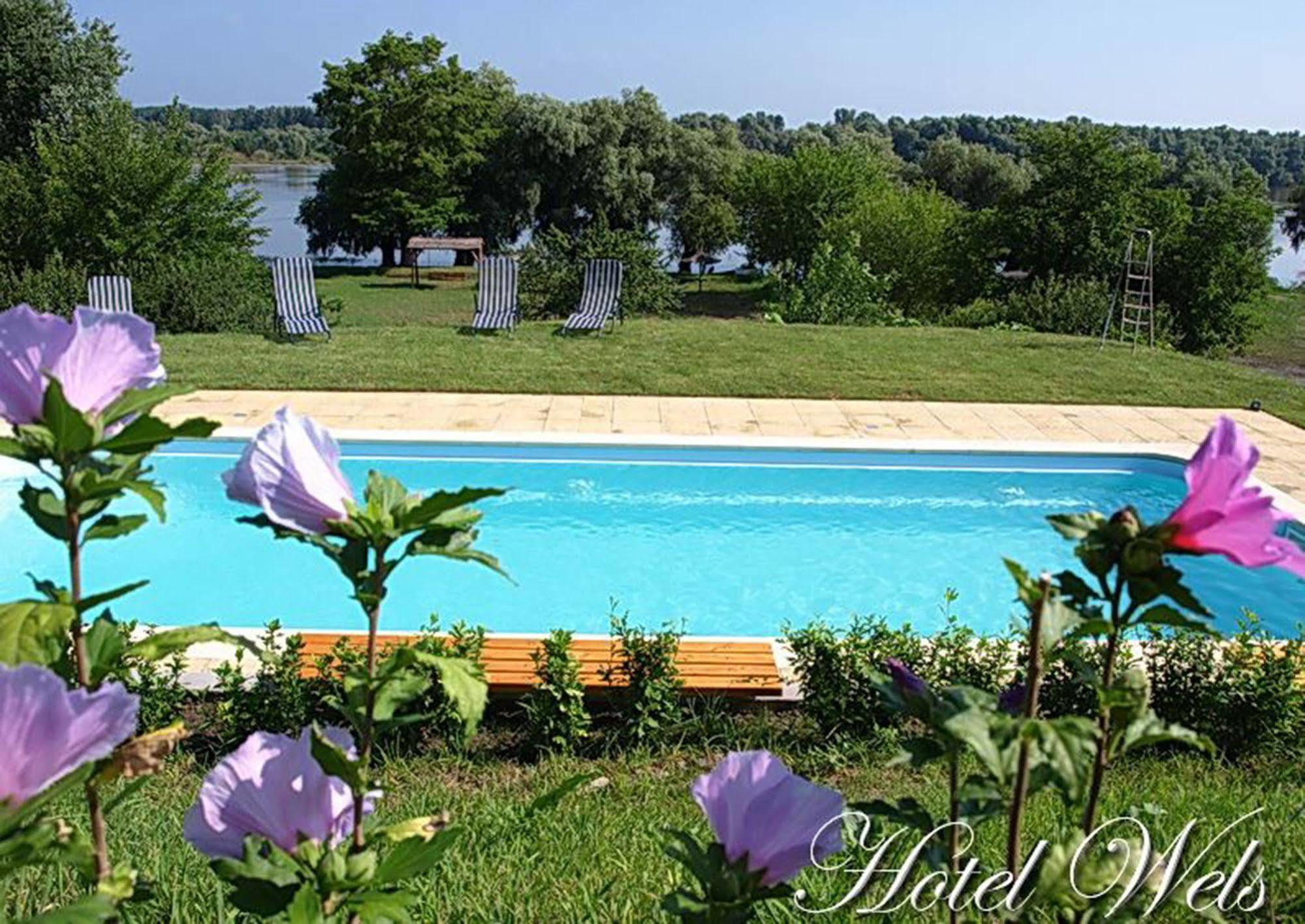 Hotel Wels Băltenii de Sus Extérieur photo